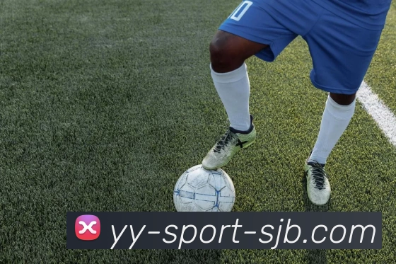 YY易游体育，YY易游体育，YY易游体育官网，YY易游体育入口，YY易游体育APP平台生态图